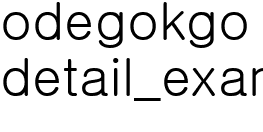 상품 상세 설명